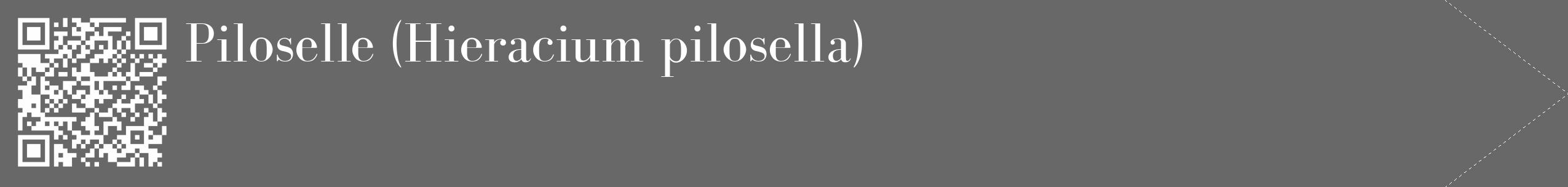 Étiquette de : Hieracium pilosella - format c - style blanche6_simple_simplebod avec qrcode et comestibilité