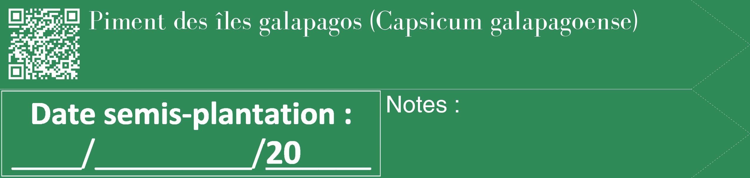 Étiquette de : Capsicum galapagoense - format c - style blanche11_simple_simplebod avec qrcode et comestibilité