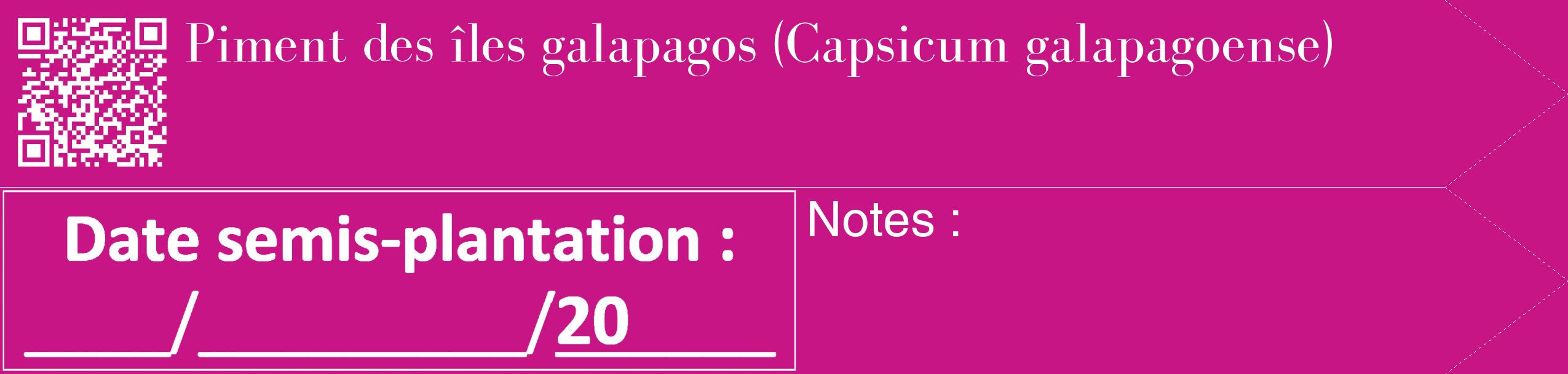 Étiquette de : Capsicum galapagoense - format c - style blanche45_simple_simplebod avec qrcode et comestibilité