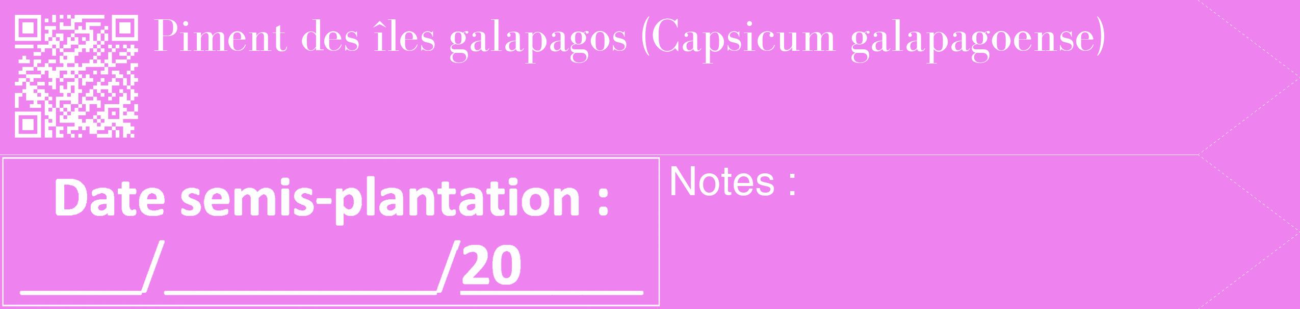 Étiquette de : Capsicum galapagoense - format c - style blanche53_simple_simplebod avec qrcode et comestibilité