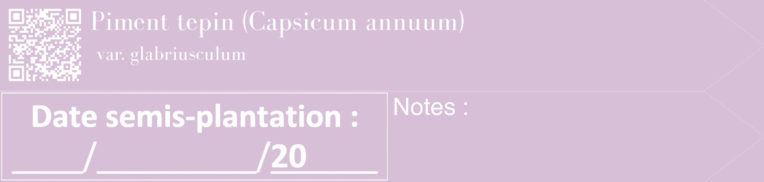 Étiquette de : Capsicum annuum var. glabriusculum - format c - style blanche54_simple_simplebod avec qrcode et comestibilité