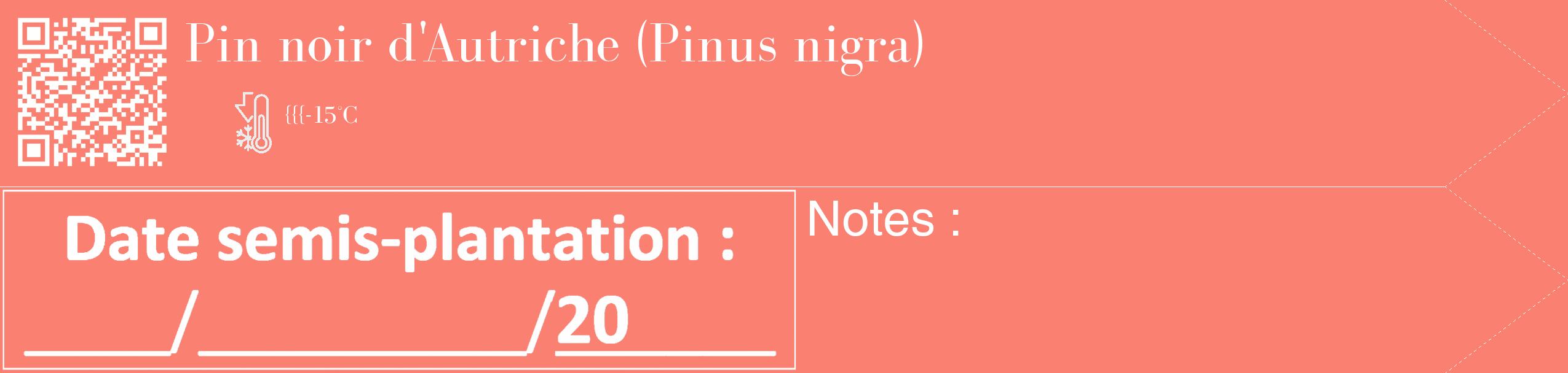 Étiquette de : Pinus nigra - format c - style blanche38_simple_simplebod avec qrcode et comestibilité