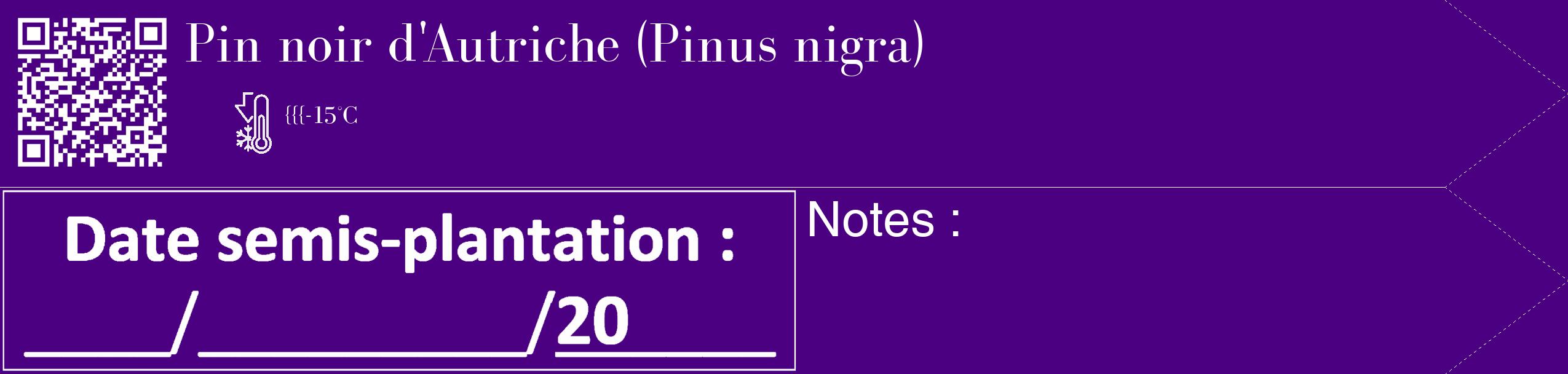 Étiquette de : Pinus nigra - format c - style blanche47_simple_simplebod avec qrcode et comestibilité