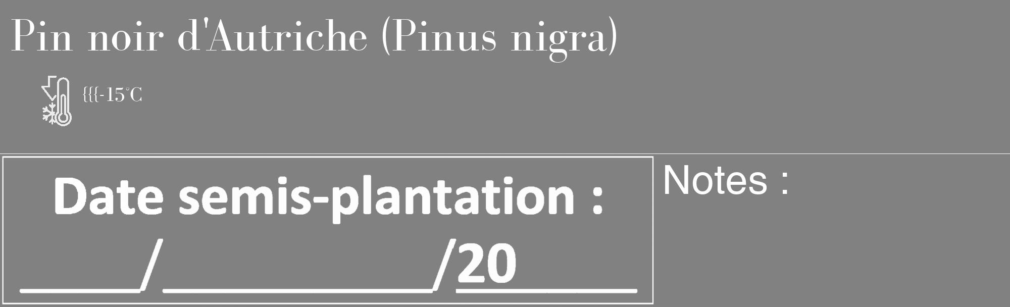 Étiquette de : Pinus nigra - format c - style blanche50_basique_basiquebod avec comestibilité