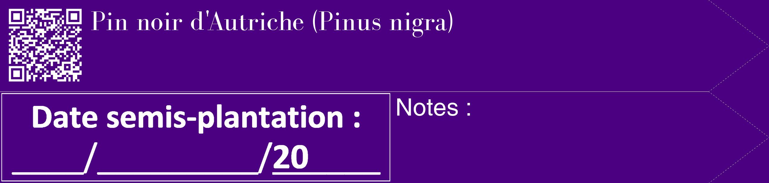 Étiquette de : Pinus nigra - format c - style blanche47_simple_simplebod avec qrcode et comestibilité