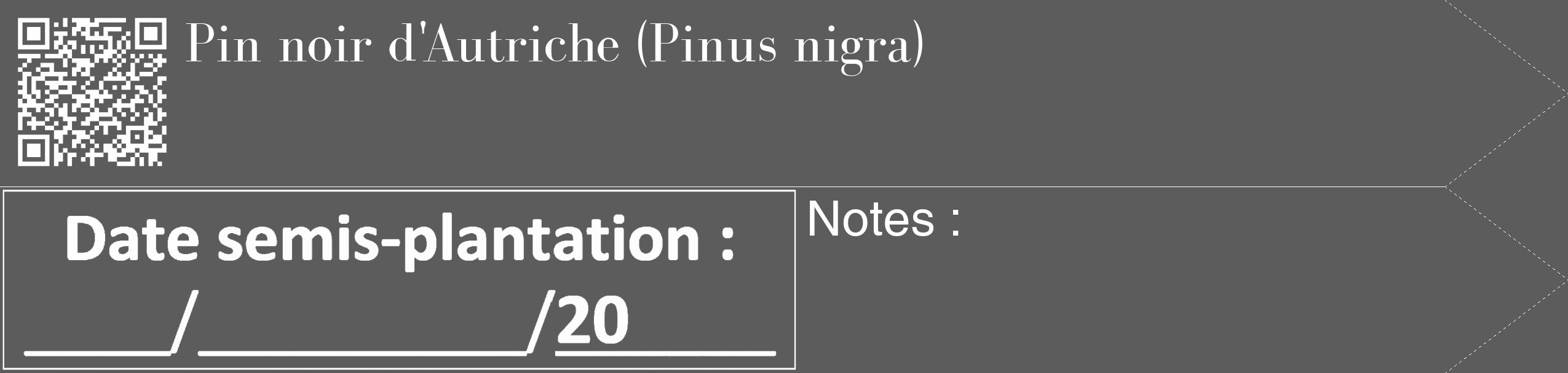 Étiquette de : Pinus nigra - format c - style blanche49_simple_simplebod avec qrcode et comestibilité
