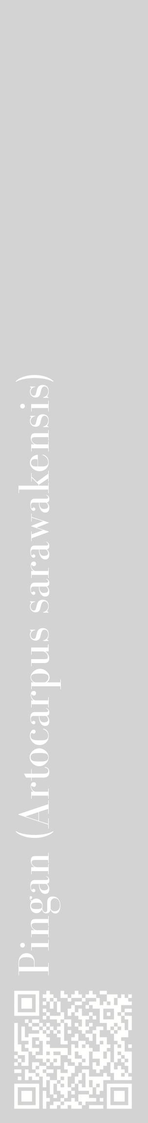 Étiquette de : Artocarpus sarawakensis - format c - style blanche56_basiquebod avec qrcode et comestibilité