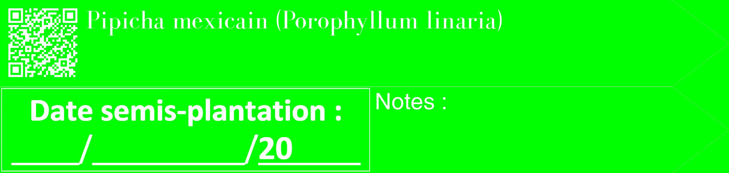 Étiquette de : Porophyllum linaria - format c - style blanche16_simple_simplebod avec qrcode et comestibilité