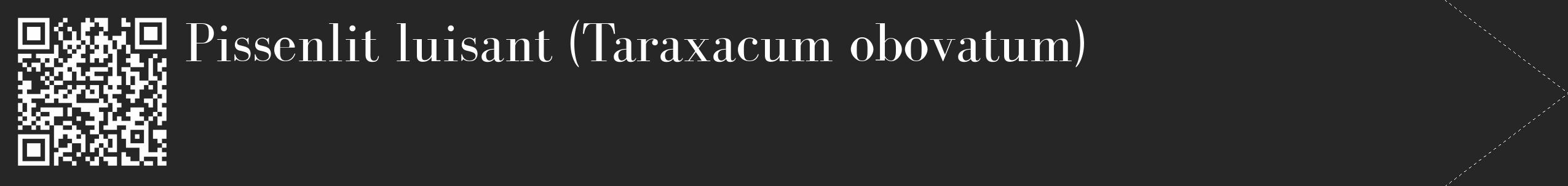 Étiquette de : Taraxacum obovatum - format c - style blanche29_simple_simplebod avec qrcode et comestibilité