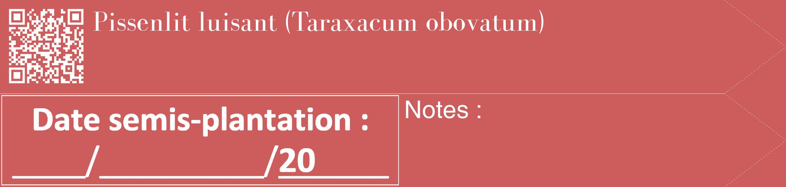 Étiquette de : Taraxacum obovatum - format c - style blanche35_simple_simplebod avec qrcode et comestibilité