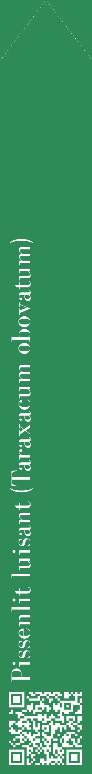 Étiquette de : Taraxacum obovatum - format c - style blanche11_simplebod avec qrcode et comestibilité