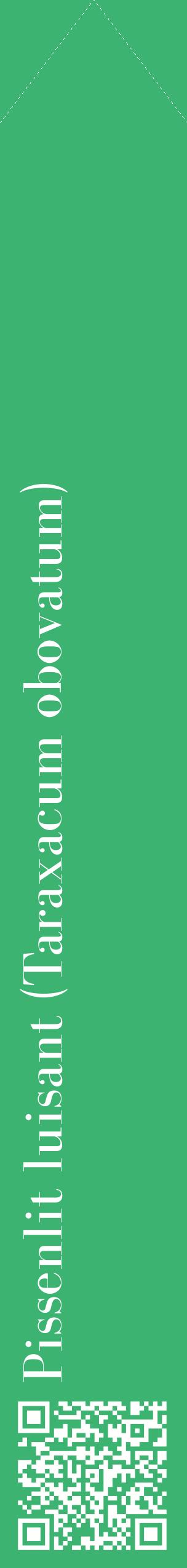 Étiquette de : Taraxacum obovatum - format c - style blanche12_simplebod avec qrcode et comestibilité