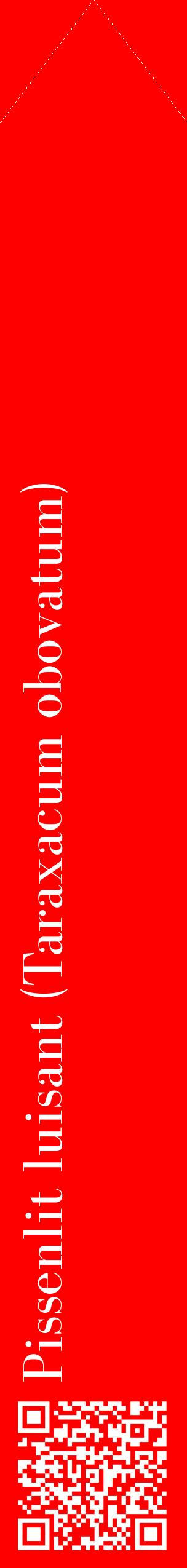 Étiquette de : Taraxacum obovatum - format c - style blanche27_simplebod avec qrcode et comestibilité