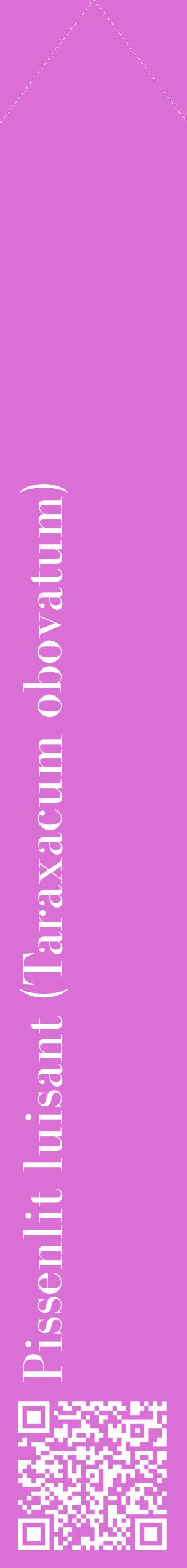 Étiquette de : Taraxacum obovatum - format c - style blanche52_simplebod avec qrcode et comestibilité