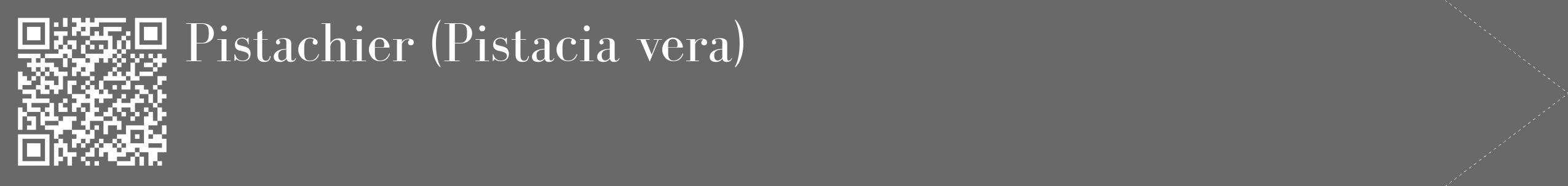 Étiquette de : Pistacia vera - format c - style blanche11_simple_simplebod avec qrcode et comestibilité