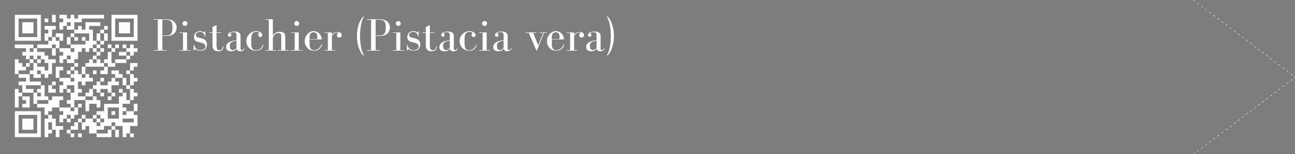 Étiquette de : Pistacia vera - format c - style blanche35_simple_simplebod avec qrcode et comestibilité