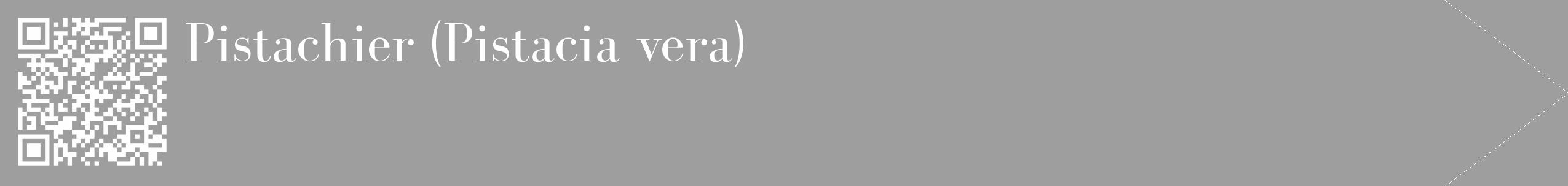 Étiquette de : Pistacia vera - format c - style blanche42_simple_simplebod avec qrcode et comestibilité