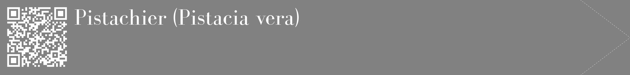 Étiquette de : Pistacia vera - format c - style blanche50_simple_simplebod avec qrcode et comestibilité