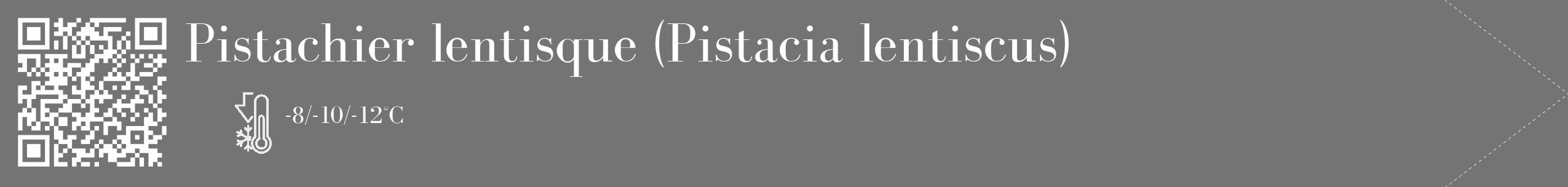 Étiquette de : Pistacia lentiscus - format c - style blanche26_simple_simplebod avec qrcode et comestibilité