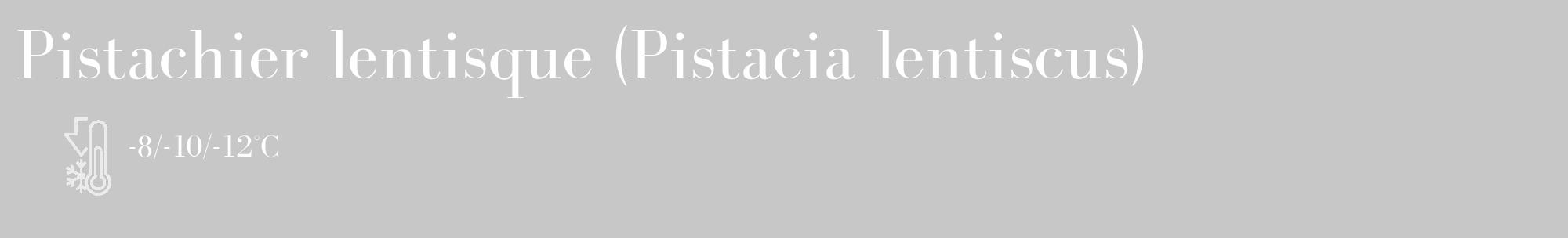 Étiquette de : Pistacia lentiscus - format c - style blanche15_basique_basiquebod avec comestibilité