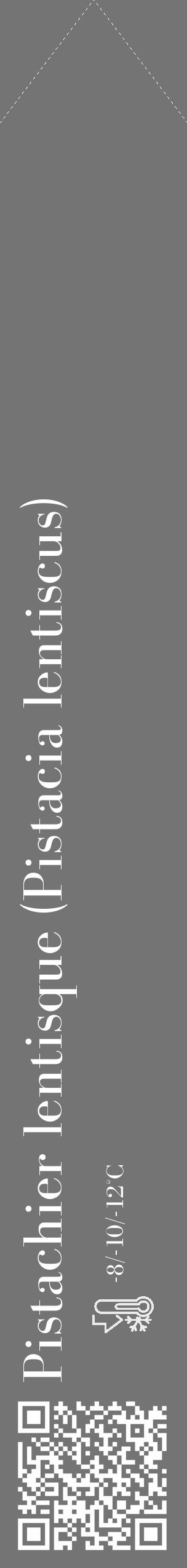 Étiquette de : Pistacia lentiscus - format c - style blanche26_simple_simplebod avec qrcode et comestibilité - position verticale