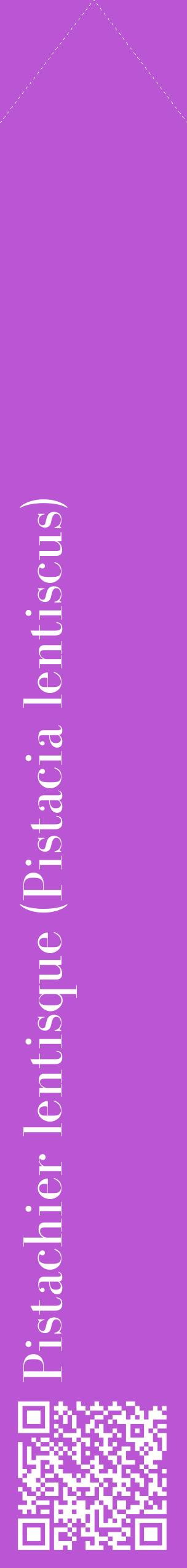 Étiquette de : Pistacia lentiscus - format c - style blanche50_simplebod avec qrcode et comestibilité