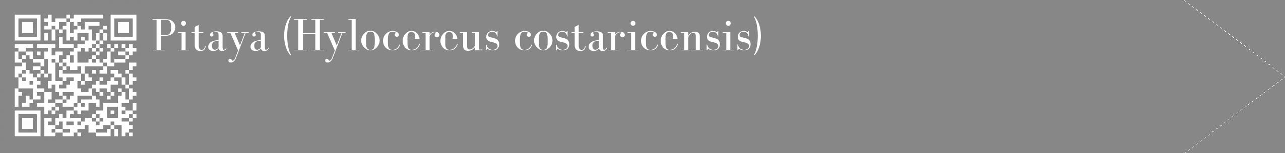 Étiquette de : Hylocereus costaricensis - format c - style blanche12_simple_simplebod avec qrcode et comestibilité