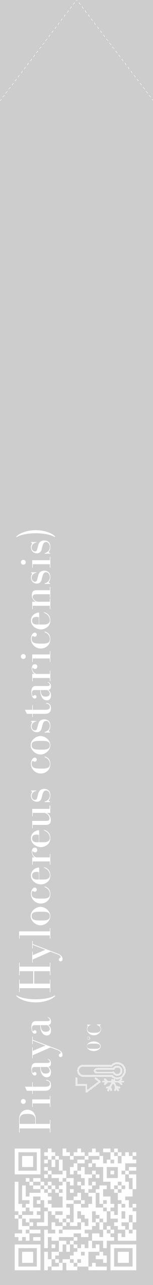 Étiquette de : Hylocereus costaricensis - format c - style blanche41_simple_simplebod avec qrcode et comestibilité - position verticale