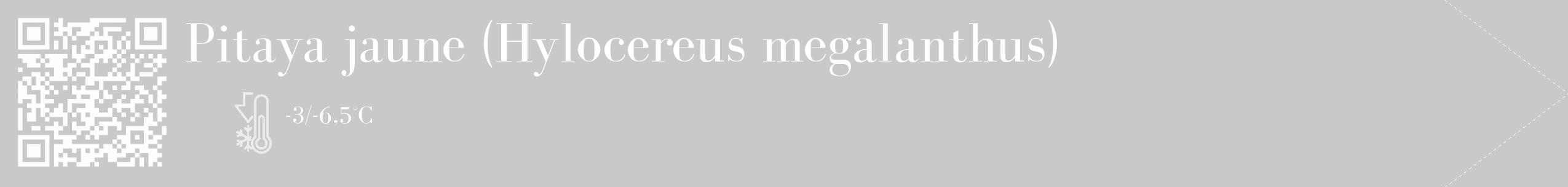 Étiquette de : Hylocereus megalanthus - format c - style blanche54_simple_simplebod avec qrcode et comestibilité