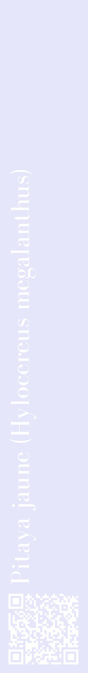 Étiquette de : Hylocereus megalanthus - format c - style blanche55_basiquebod avec qrcode et comestibilité