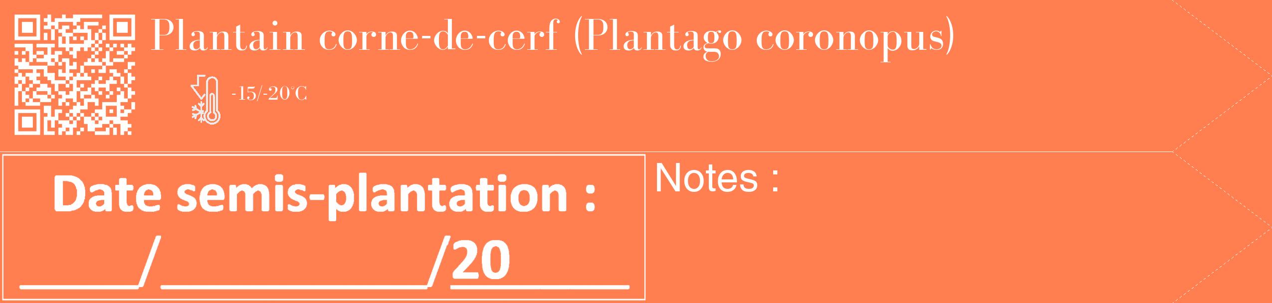 Étiquette de : Plantago coronopus - format c - style blanche24_simple_simplebod avec qrcode et comestibilité