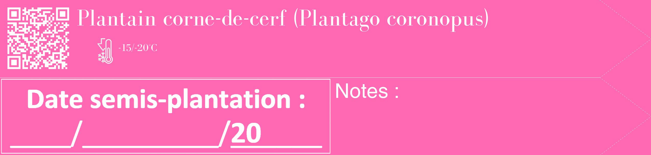 Étiquette de : Plantago coronopus - format c - style blanche42_simple_simplebod avec qrcode et comestibilité
