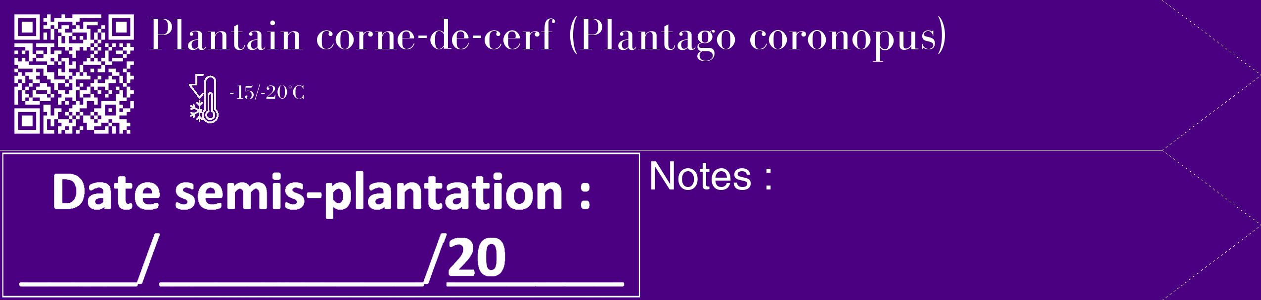 Étiquette de : Plantago coronopus - format c - style blanche47_simple_simplebod avec qrcode et comestibilité