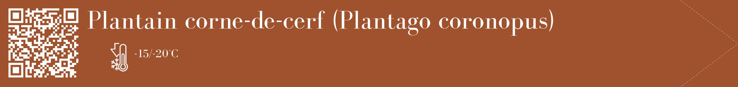 Étiquette de : Plantago coronopus - format c - style blanche32_simple_simplebod avec qrcode et comestibilité