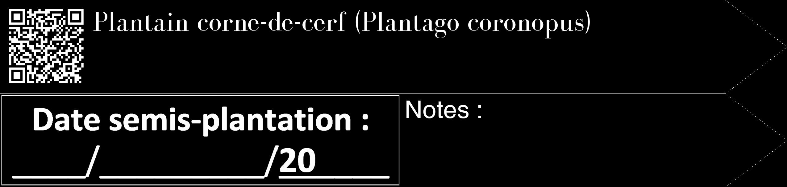 Étiquette de : Plantago coronopus - format c - style blanche59_simple_simplebod avec qrcode et comestibilité