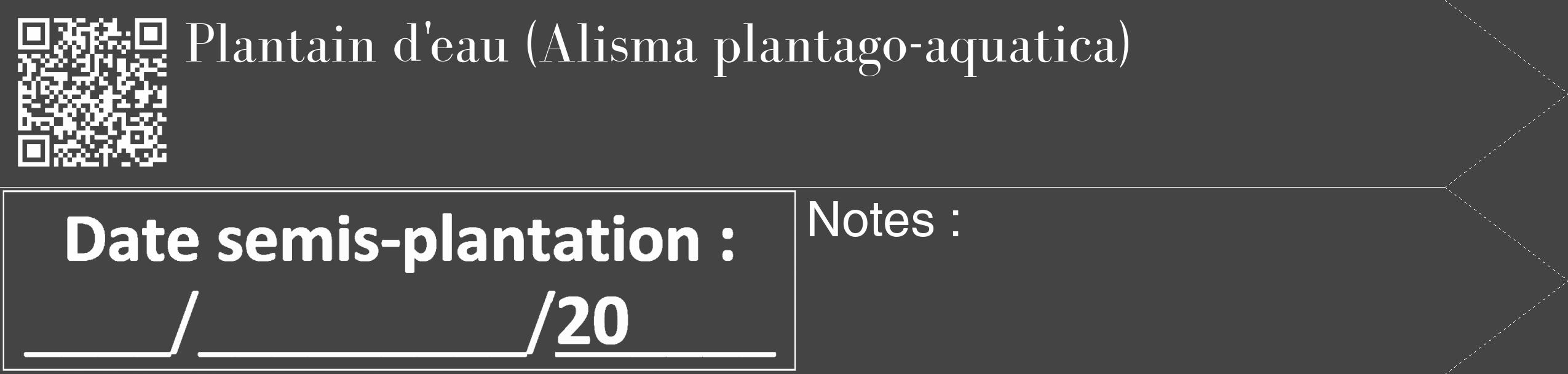 Étiquette de : Alisma plantago-aquatica - format c - style blanche48_simple_simplebod avec qrcode et comestibilité