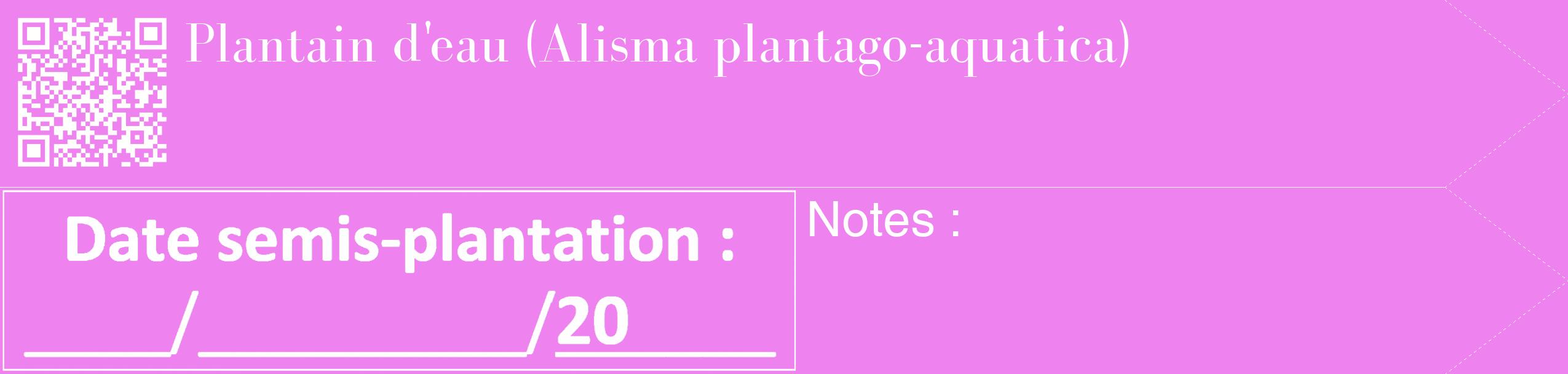 Étiquette de : Alisma plantago-aquatica - format c - style blanche53_simple_simplebod avec qrcode et comestibilité