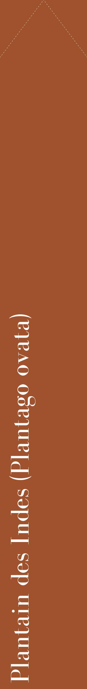 Étiquette de : Plantago ovata - format c - style blanche32_simplebod avec comestibilité