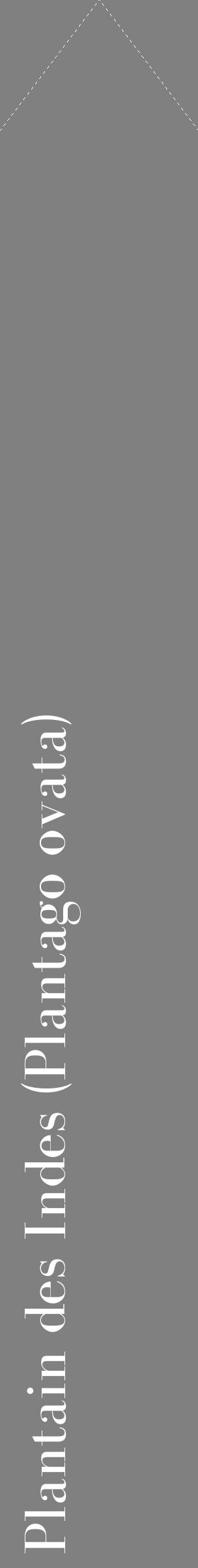 Étiquette de : Plantago ovata - format c - style blanche57_simplebod avec comestibilité
