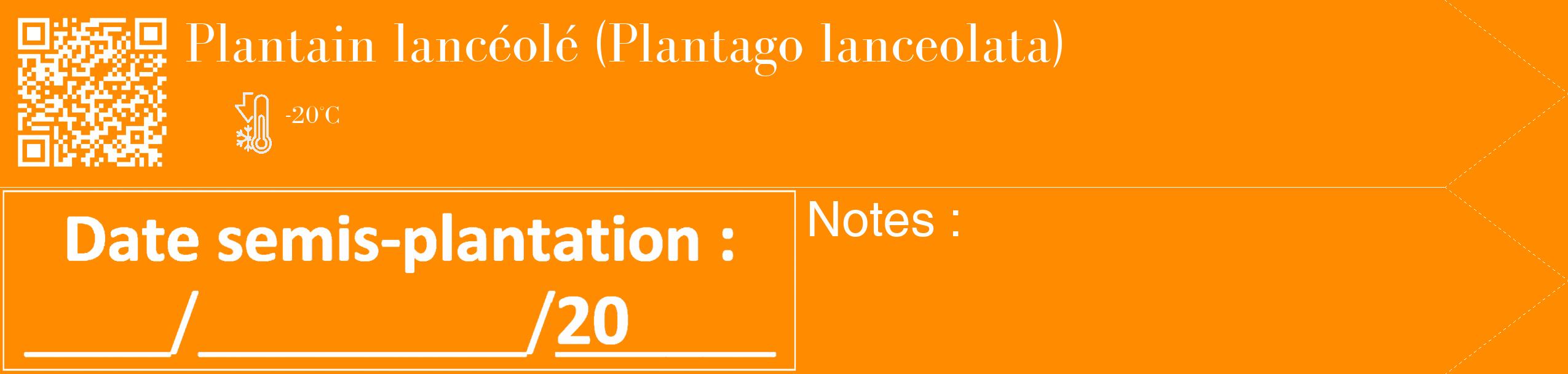 Étiquette de : Plantago lanceolata - format c - style blanche23_simple_simplebod avec qrcode et comestibilité