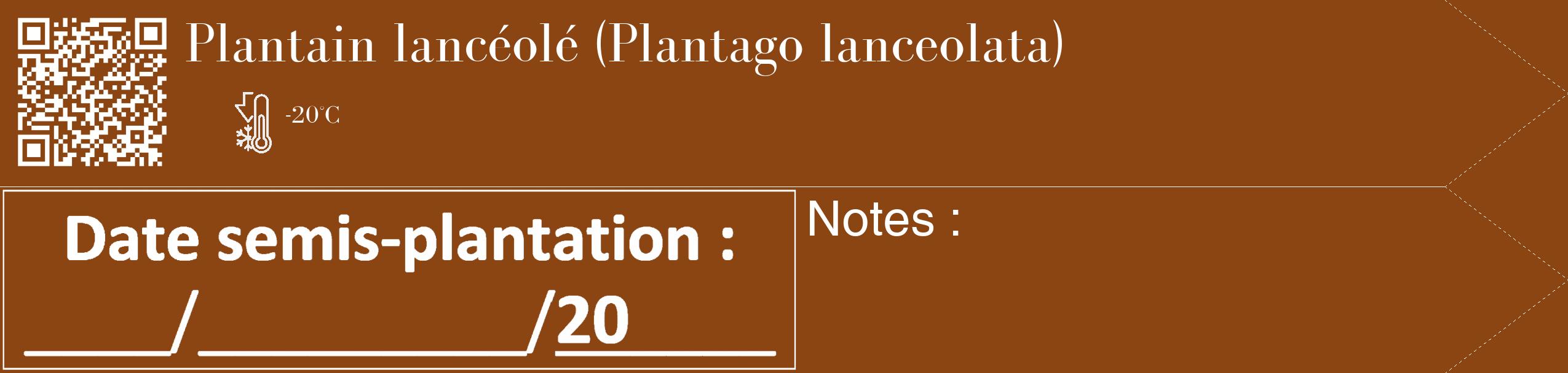 Étiquette de : Plantago lanceolata - format c - style blanche30_simple_simplebod avec qrcode et comestibilité