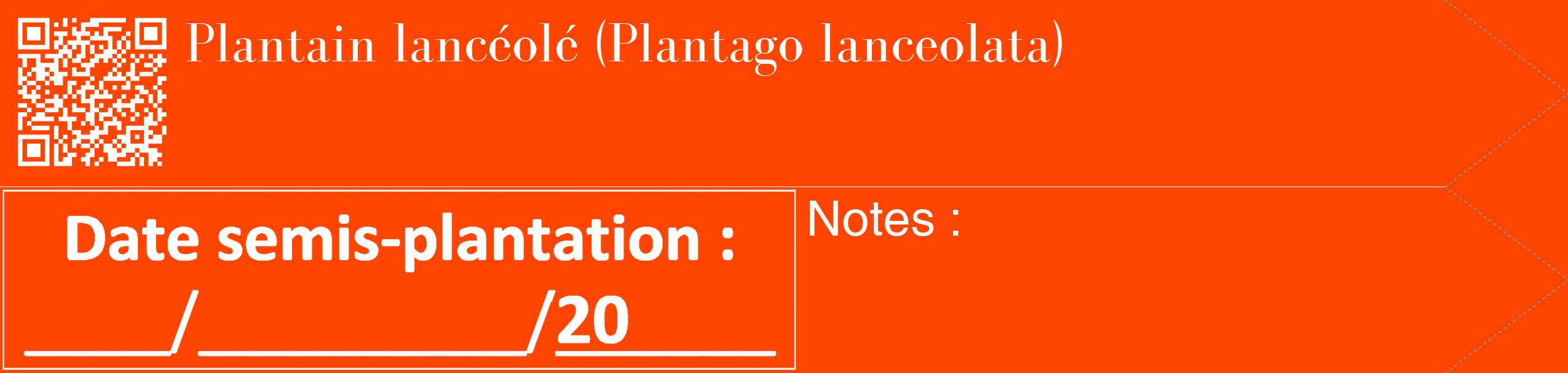 Étiquette de : Plantago lanceolata - format c - style blanche26_simple_simplebod avec qrcode et comestibilité