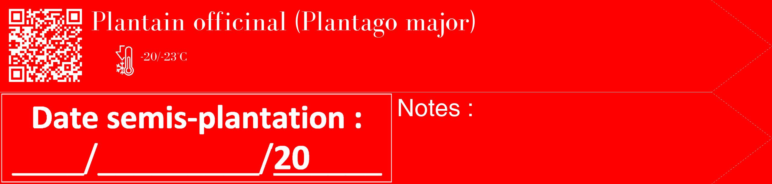 Étiquette de : Plantago major - format c - style blanche27_simple_simplebod avec qrcode et comestibilité