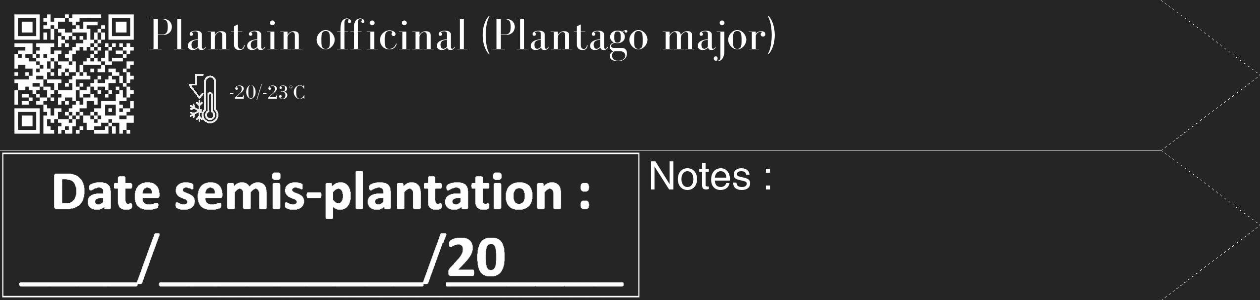 Étiquette de : Plantago major - format c - style blanche47_simple_simplebod avec qrcode et comestibilité