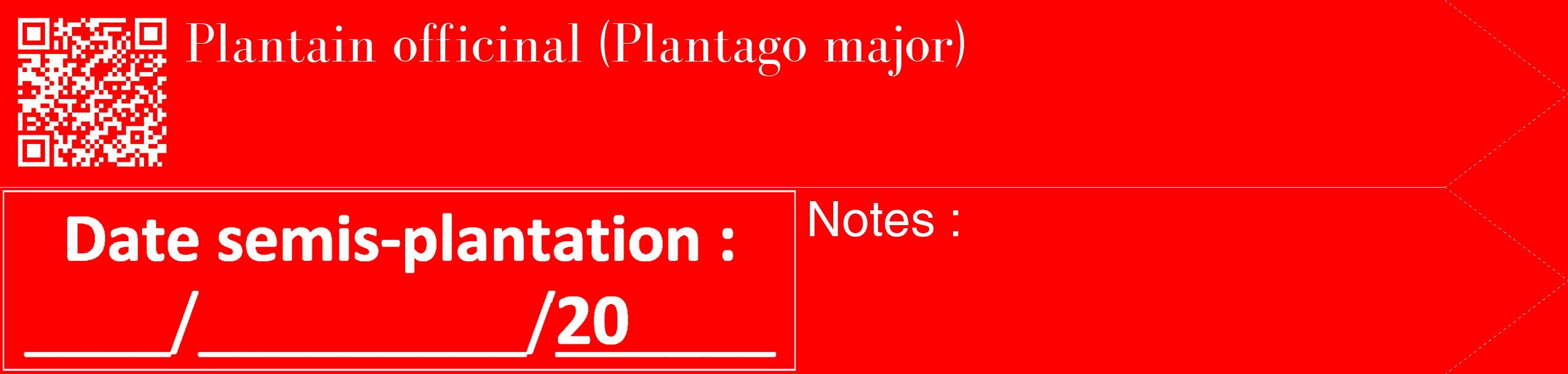 Étiquette de : Plantago major - format c - style blanche27_simple_simplebod avec qrcode et comestibilité