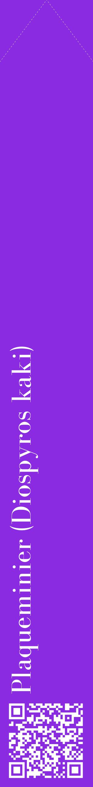 Étiquette de : Diospyros kaki - format c - style blanche49_simplebod avec qrcode et comestibilité