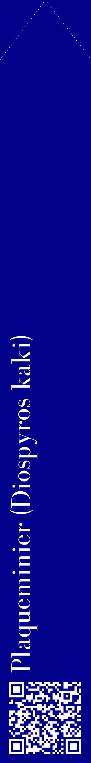 Étiquette de : Diospyros kaki - format c - style blanche7_simplebod avec qrcode et comestibilité