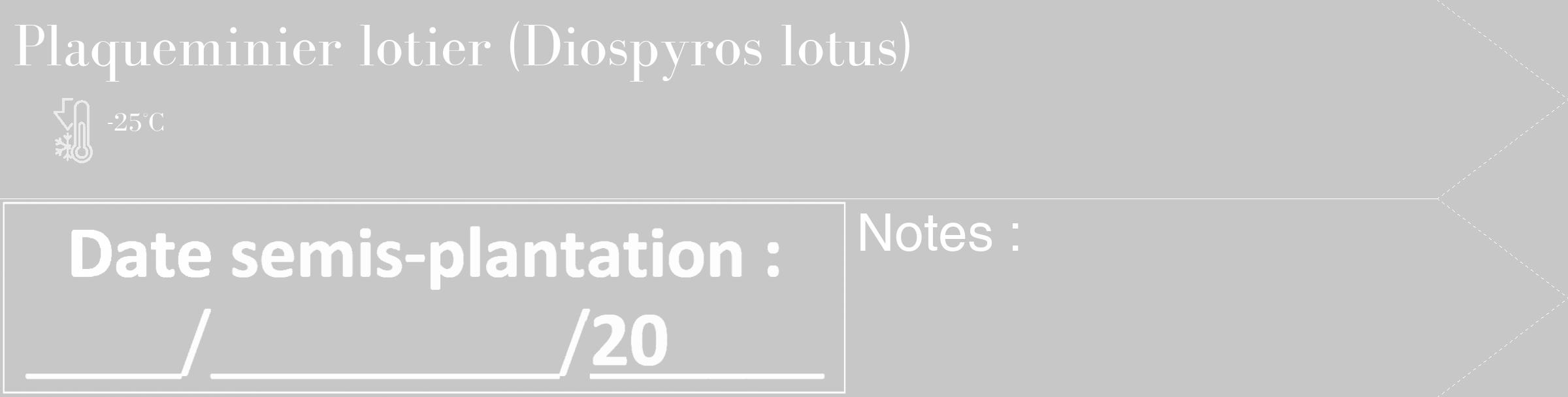 Étiquette de : Diospyros lotus - format c - style blanche15_simple_simplebod avec comestibilité