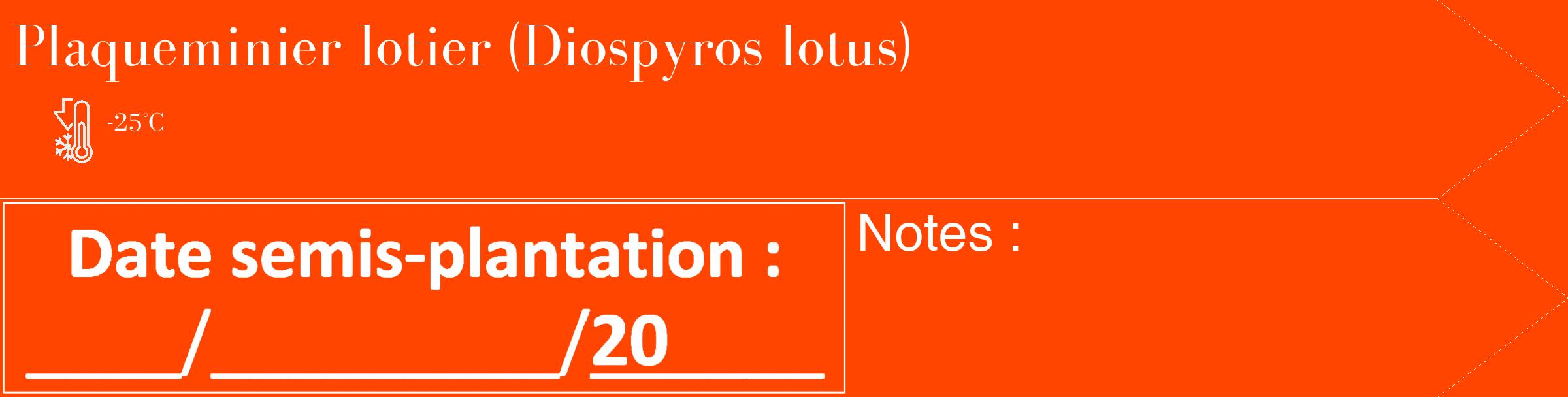 Étiquette de : Diospyros lotus - format c - style blanche26_simple_simplebod avec comestibilité