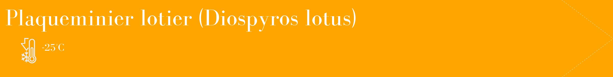 Étiquette de : Diospyros lotus - format c - style blanche22_simple_simplebod avec comestibilité